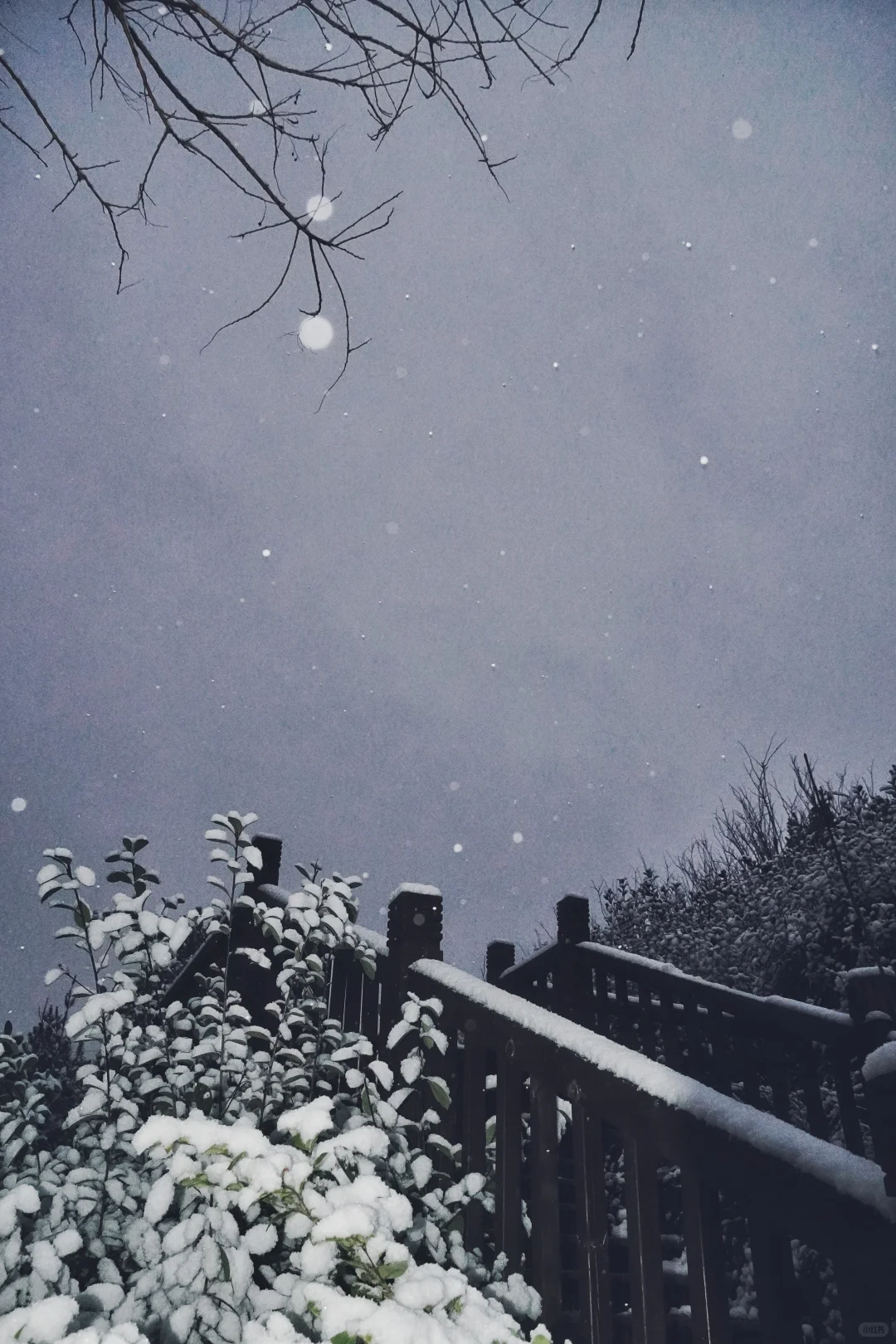 冬天的第一场雪，如期而至