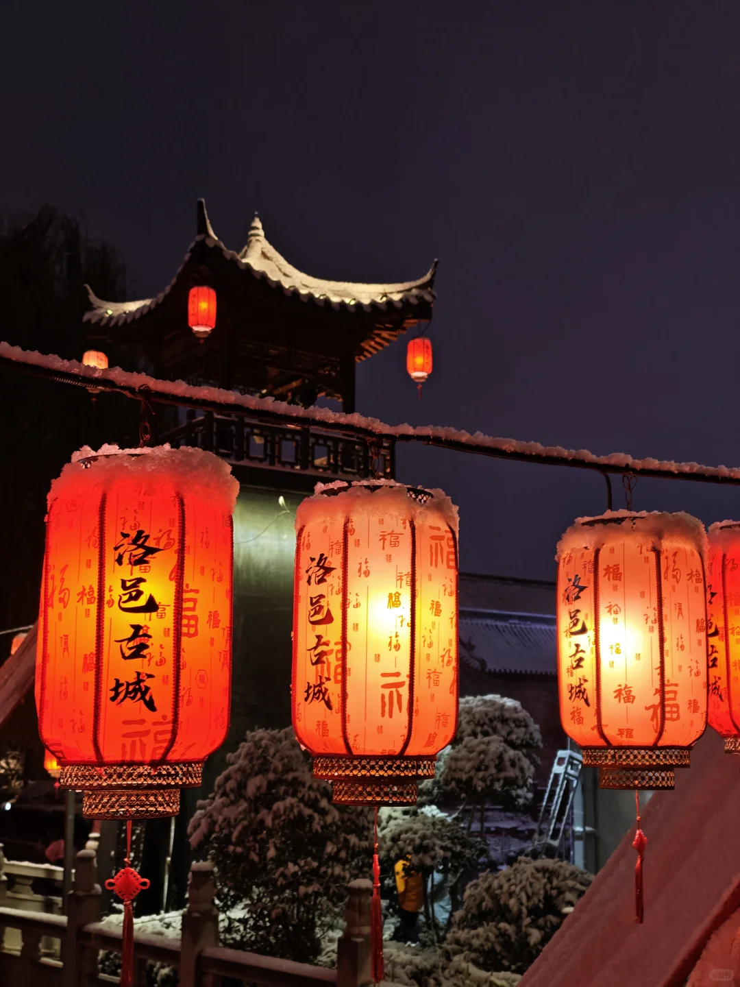 周末特种兵再次出发！洛阳我来了