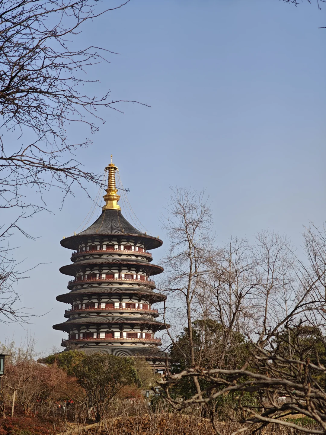 周末特种兵再次出发！洛阳我来了