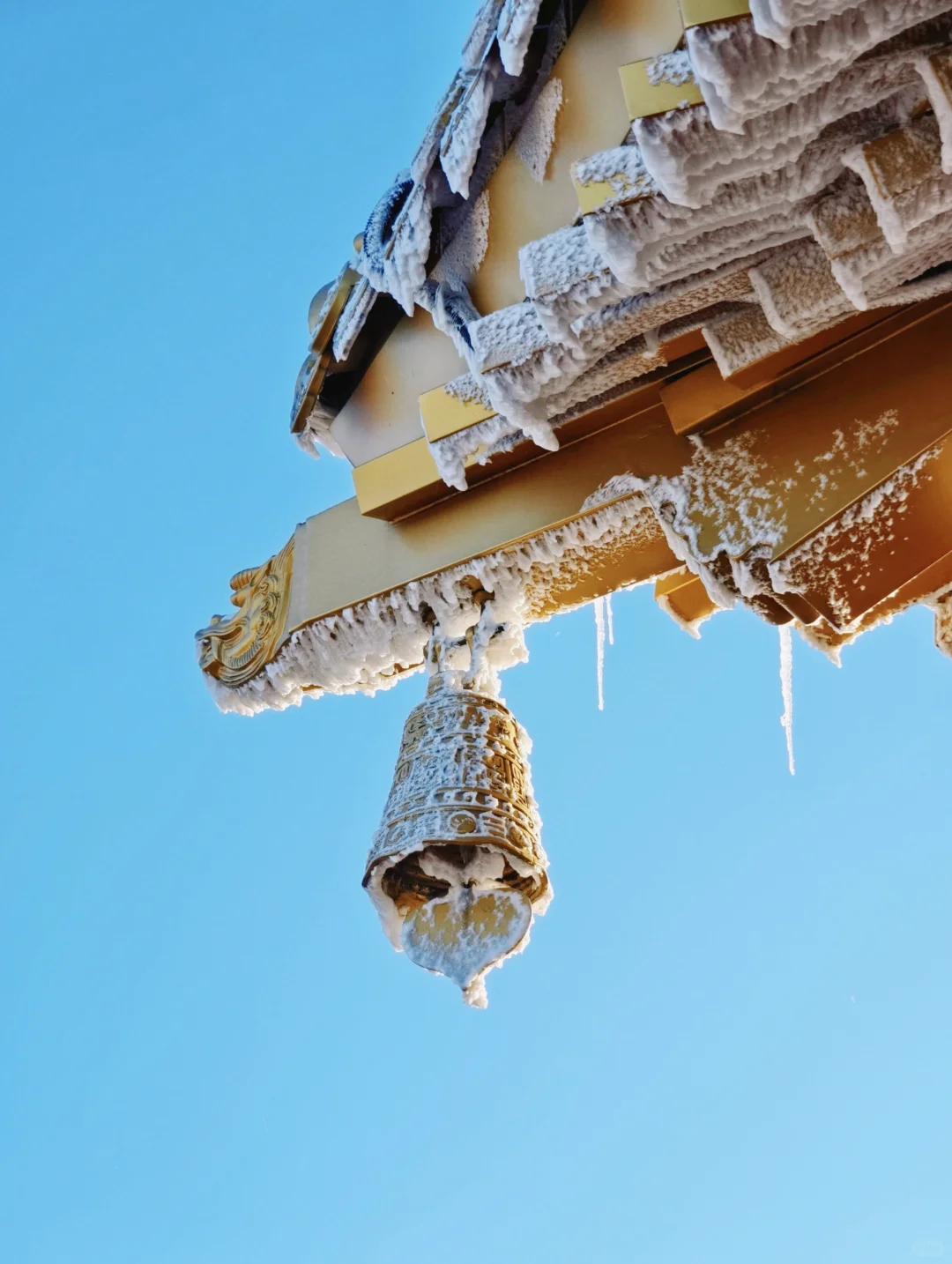 远赴人间惊鸿宴🌬️老君山上看日落看雪❄️