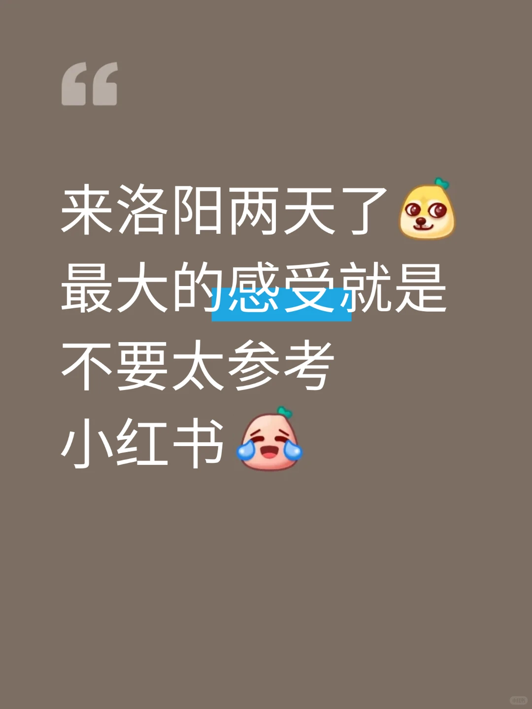 刚从洛阳回来！有些大实话必须讲📣