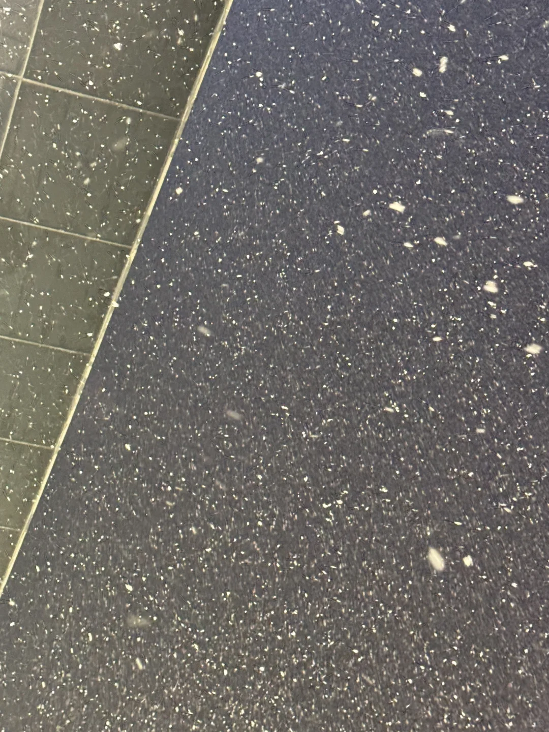 郑州的雪下的那么认真下的那么深