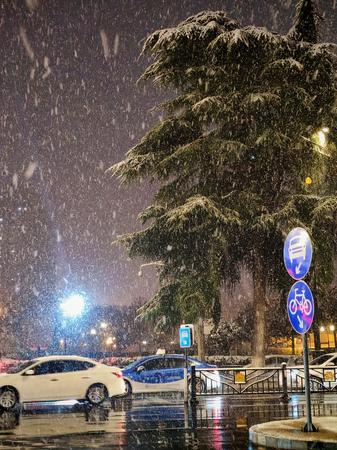 用动态照片记录这场鹅毛大雪