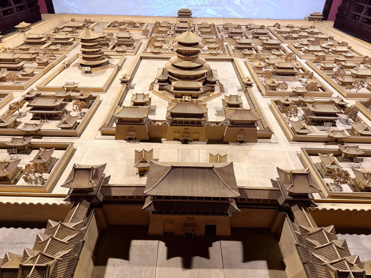 下次再见 神都洛阳 🫡