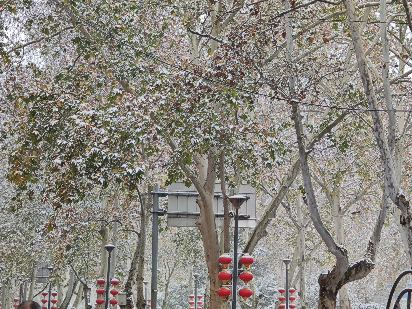 12.12日，洛阳雪