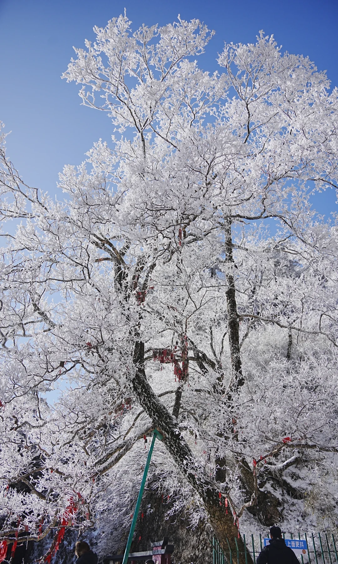 12.13| 老君山已下山，有什么想问的吗？