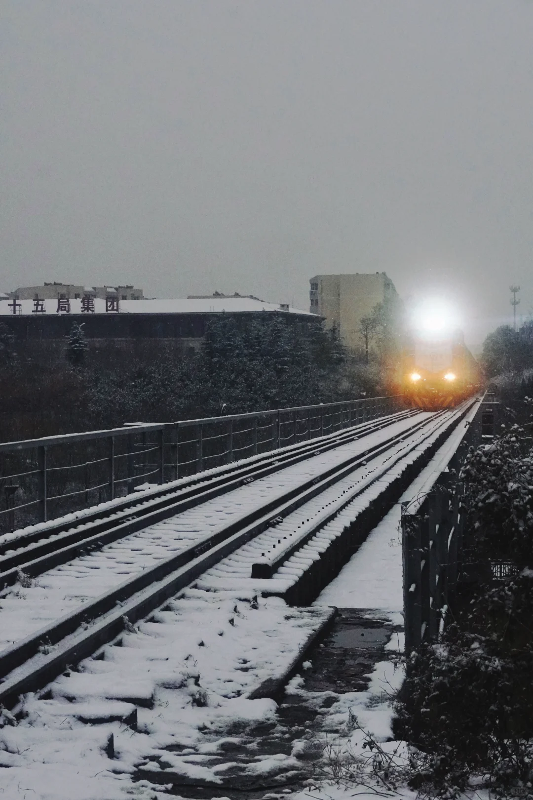 冬天的第一场雪，如期而至