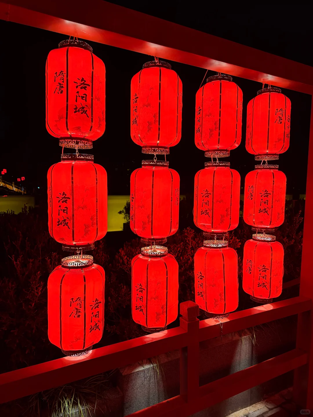 下次再见 神都洛阳 🫡