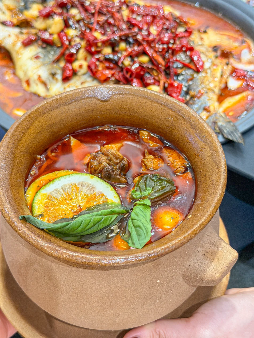 洛阳新开！！！云南烤鱼香s了……🥺🥺