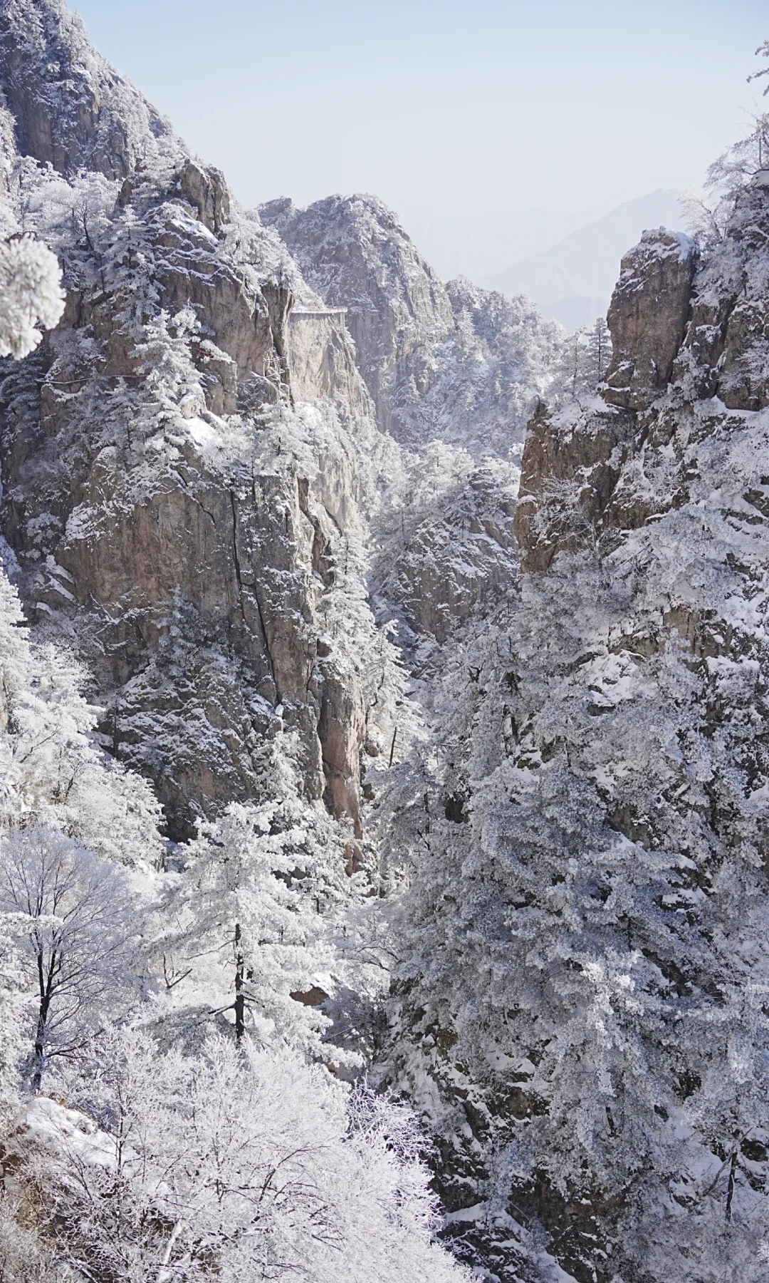 12.13| 老君山已下山，有什么想问的吗？