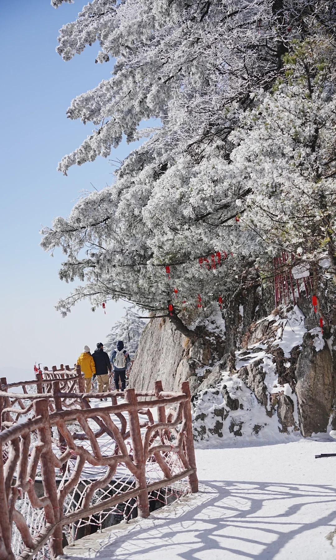 12.13| 老君山已下山，有什么想问的吗？