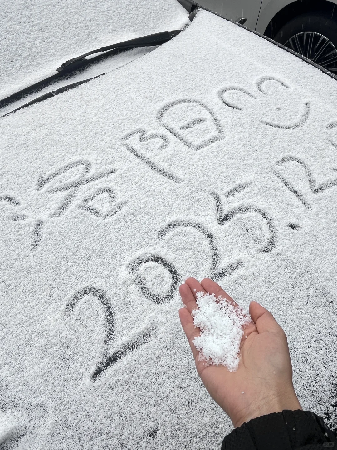 洛阳！！！2025年第一场雪！！！❄️