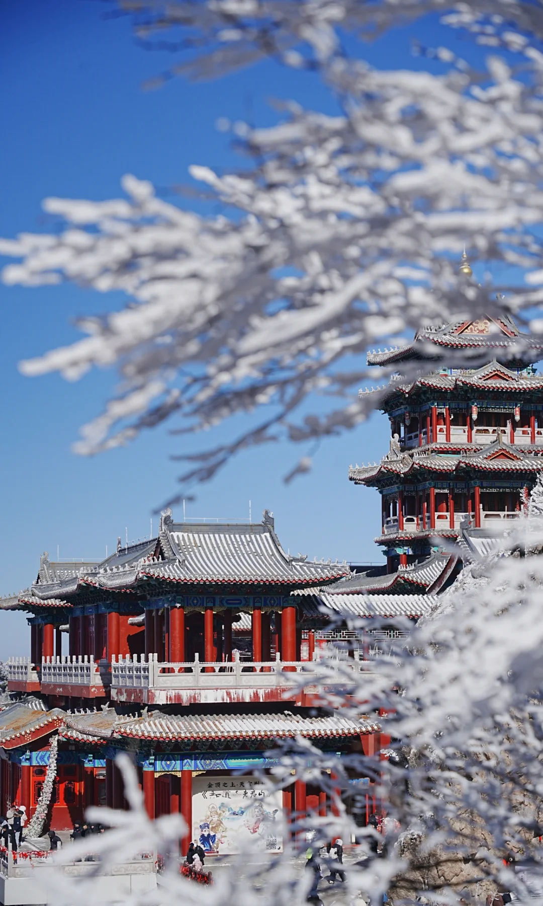 12.13| 老君山已下山，有什么想问的吗？