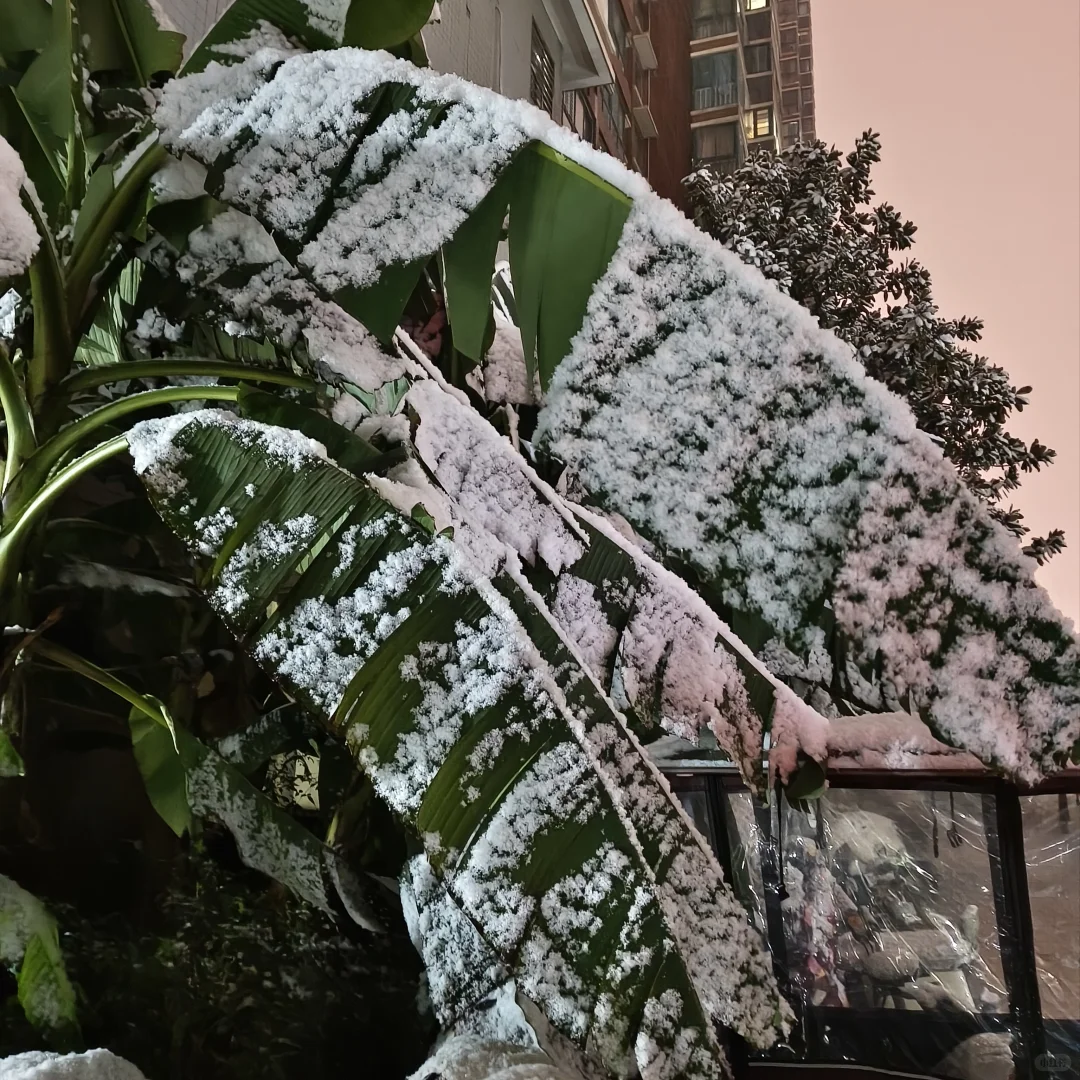 2025.12.12洛阳初雪