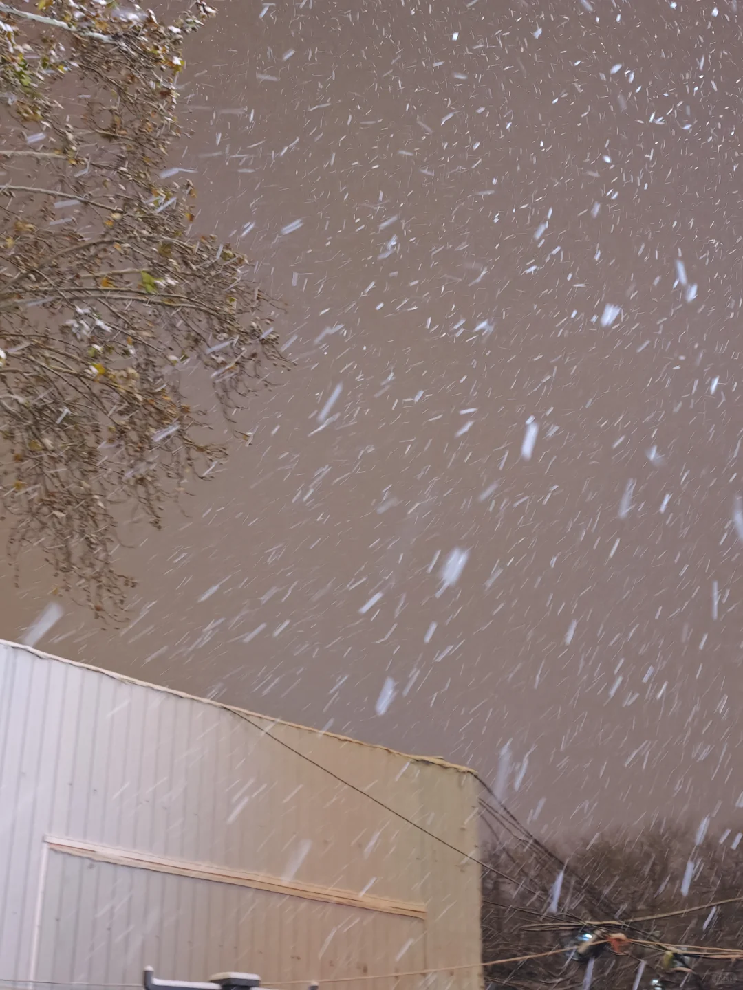 周末特种兵再次出发！洛阳我来了