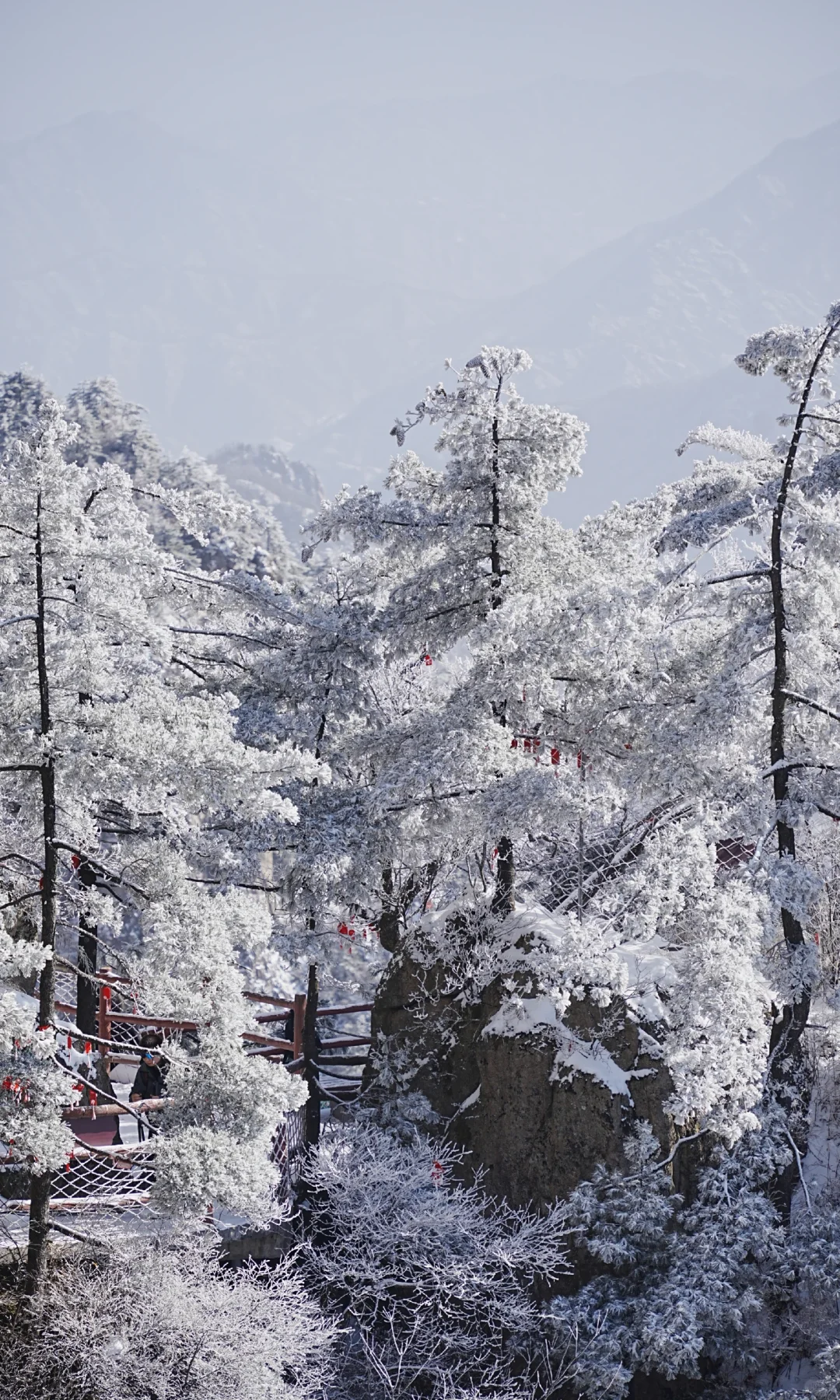 12.13| 老君山已下山，有什么想问的吗？