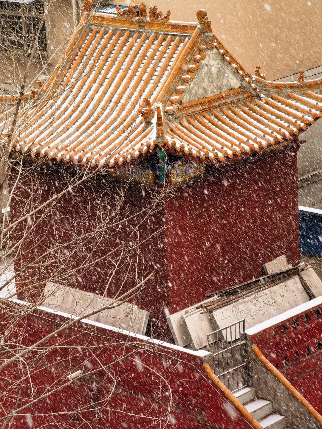 2026年洛阳第一场雪