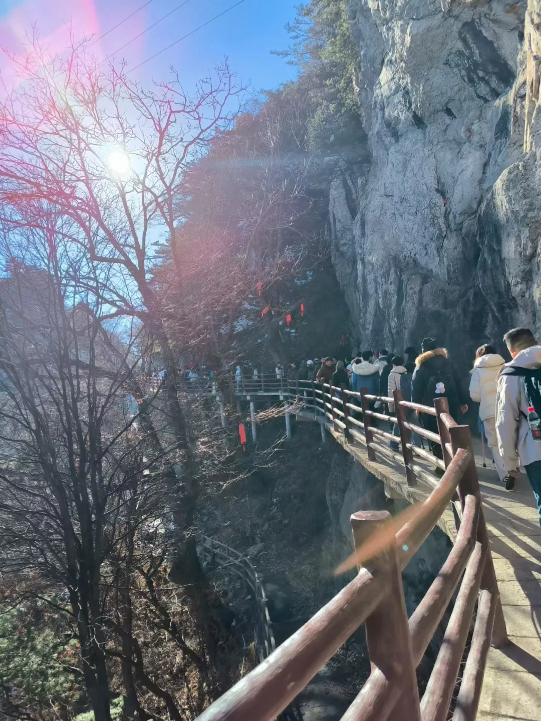12.16日老君山现状，爬上来我无语了😭