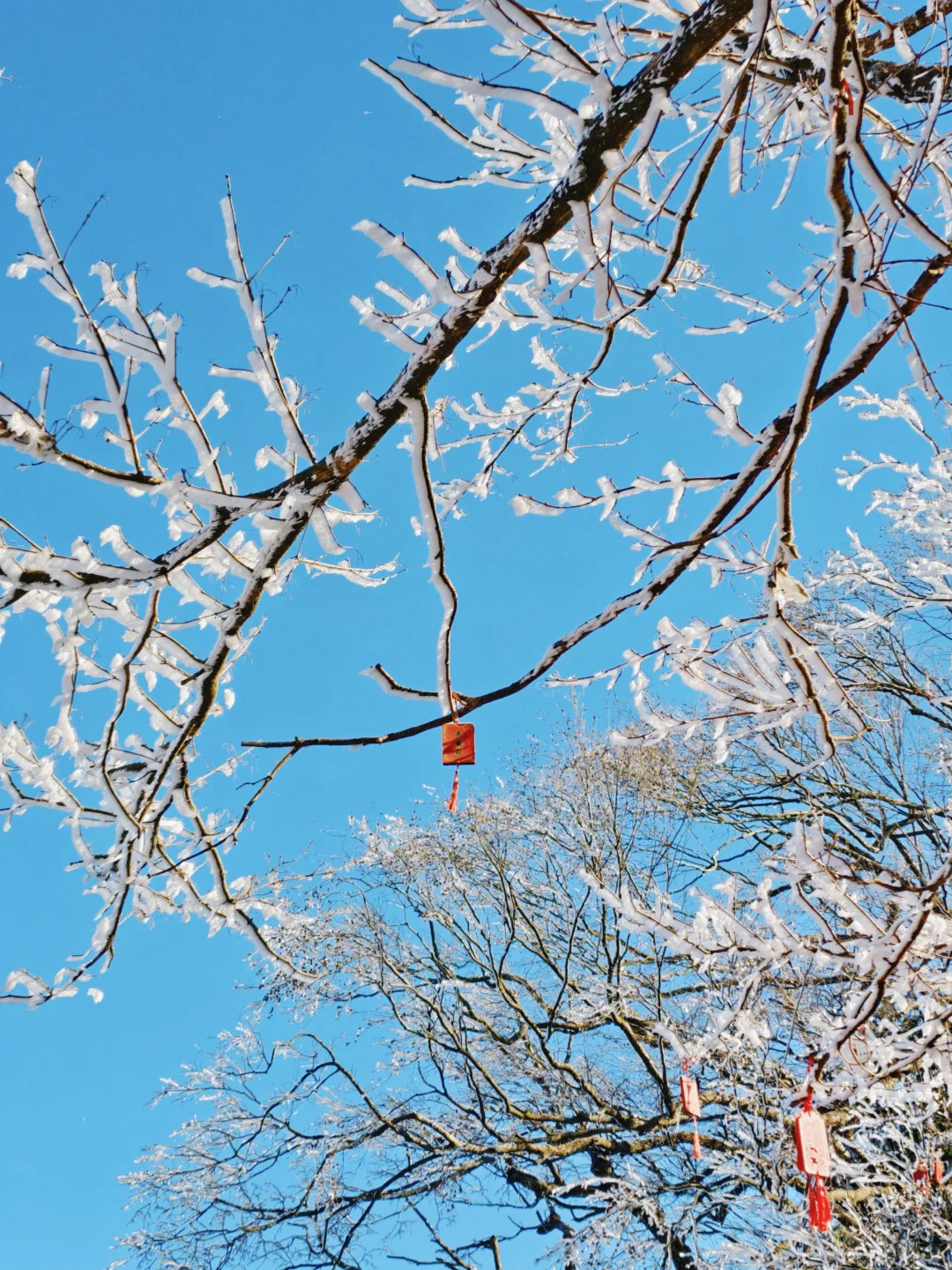 远赴人间惊鸿宴🌬️老君山上看日落看雪❄️