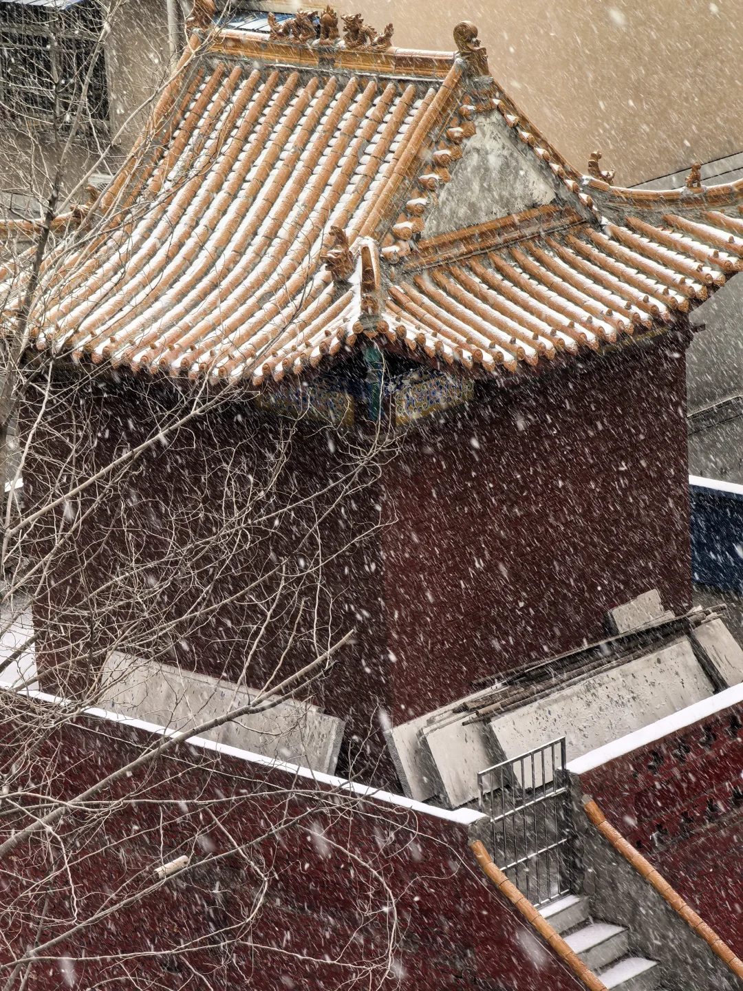 2026年洛阳第一场雪