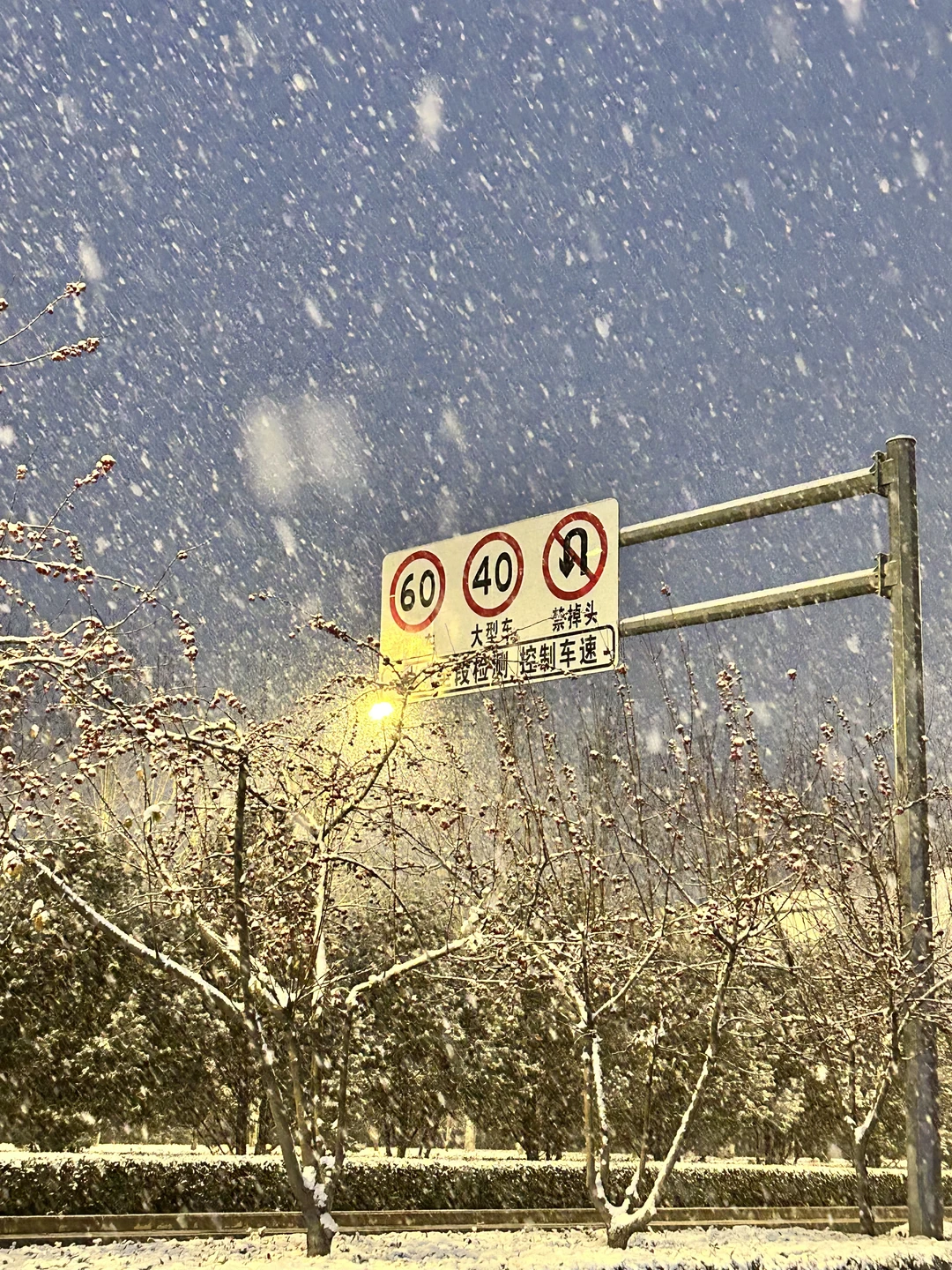 他朝若是同淋雪 此生也算共白头