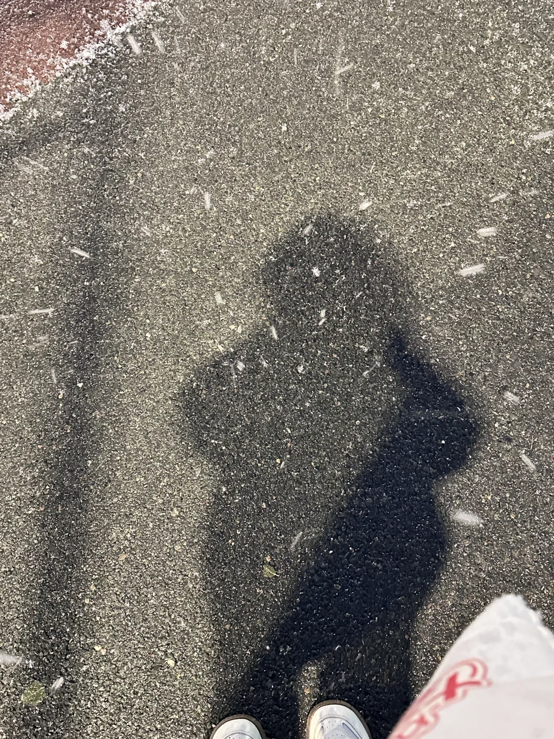 今天的雪，有点好看～