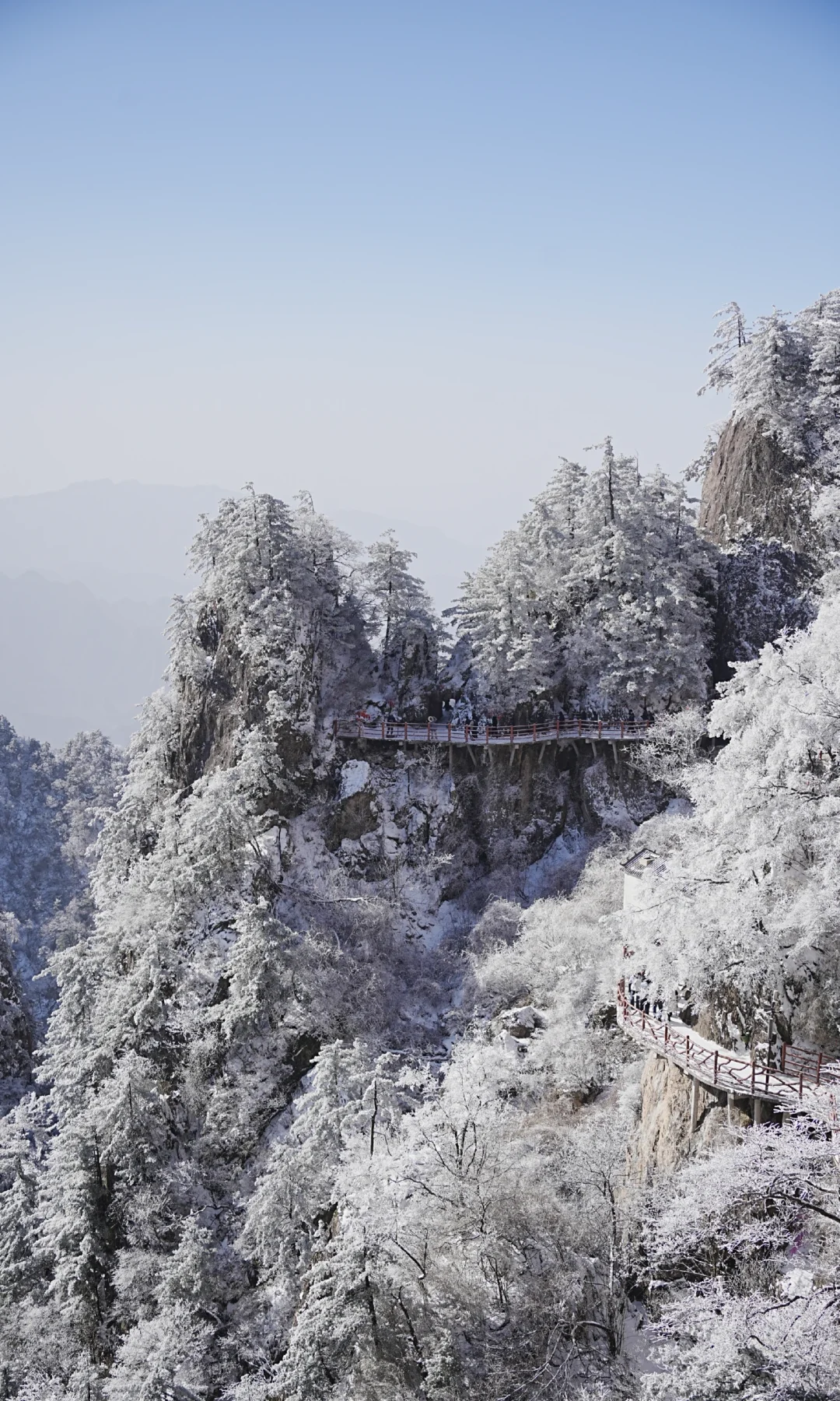 12.13| 老君山已下山，有什么想问的吗？
