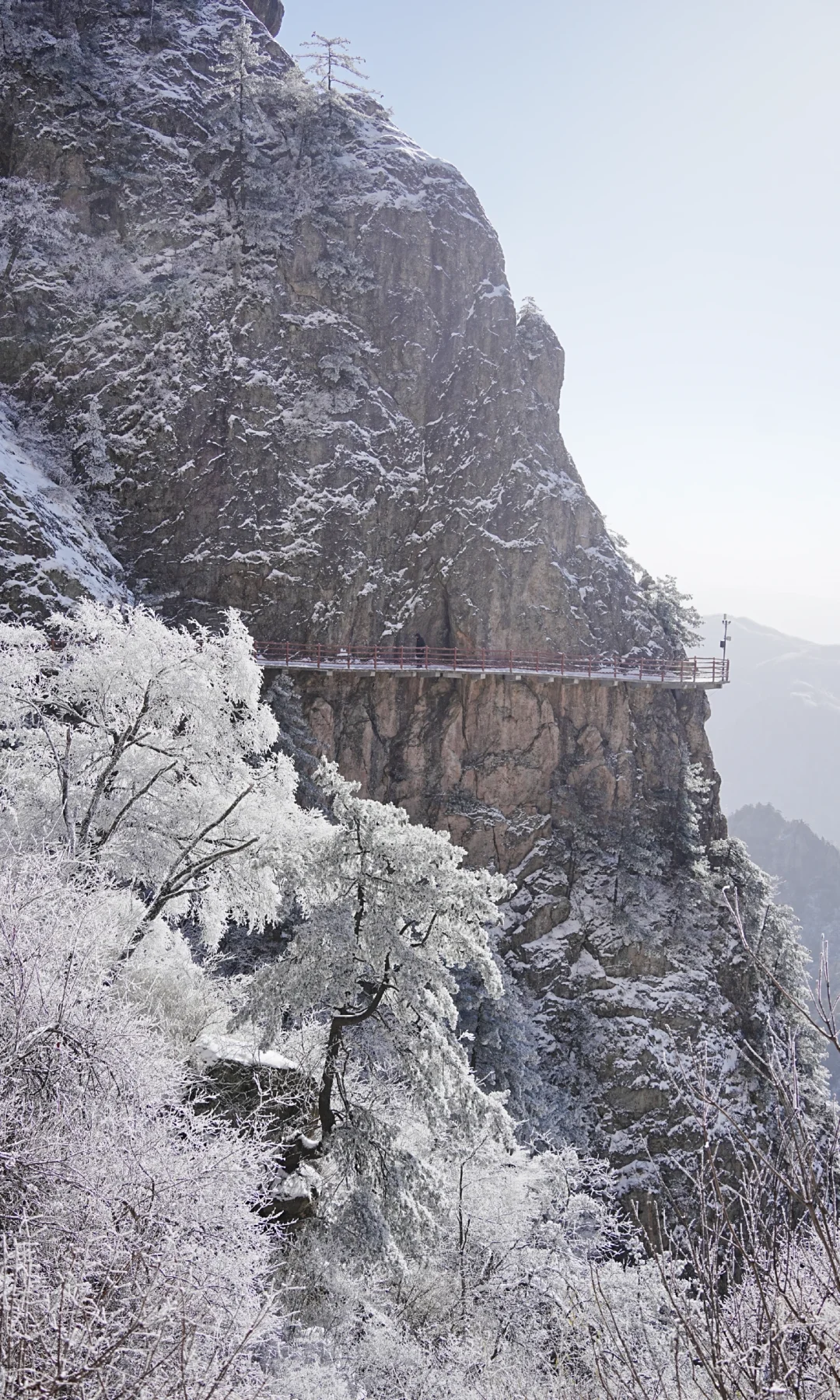12.13| 老君山已下山，有什么想问的吗？