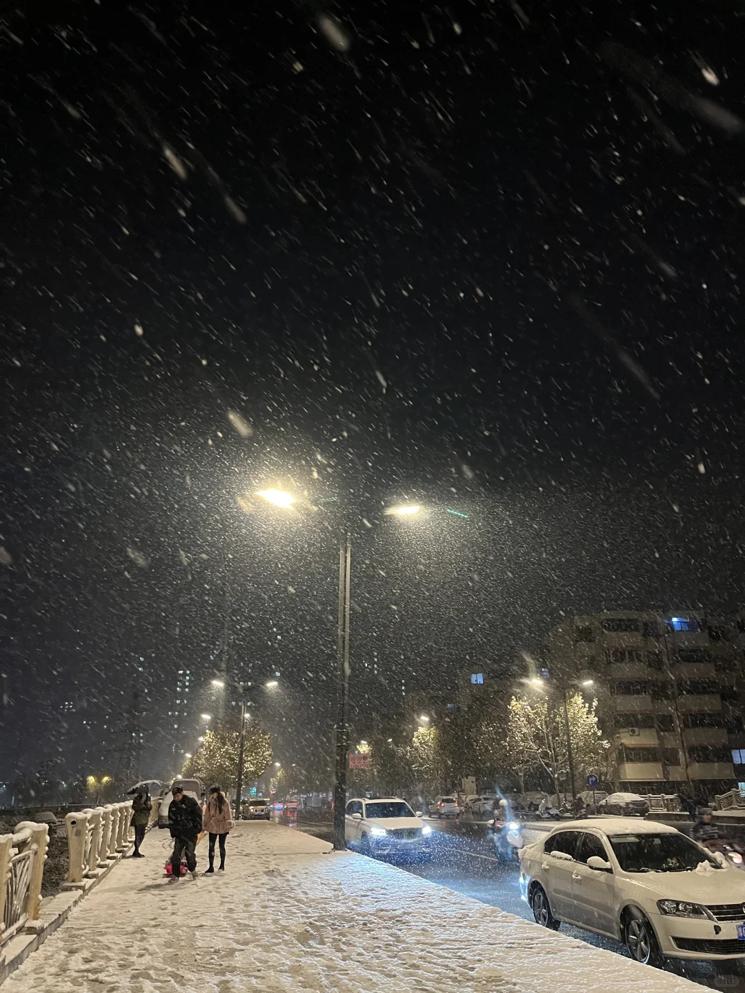 洛阳这雪杀疯了