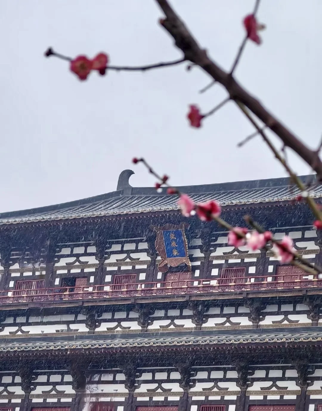 12.12号！洛阳今天真的下雪了❄️洛阳文创看图