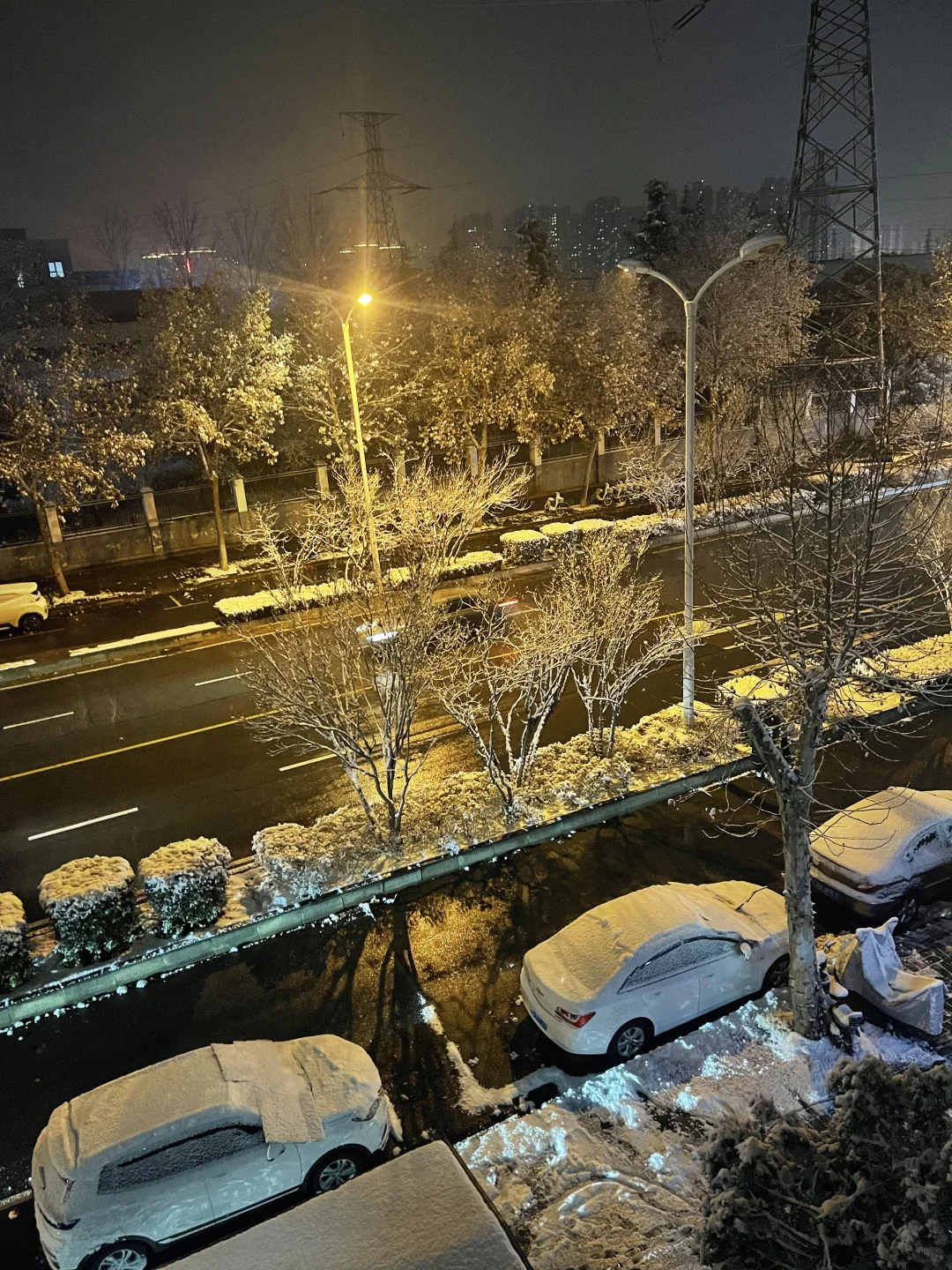 听说初雪这一天，所有的谎言都会被原谅。