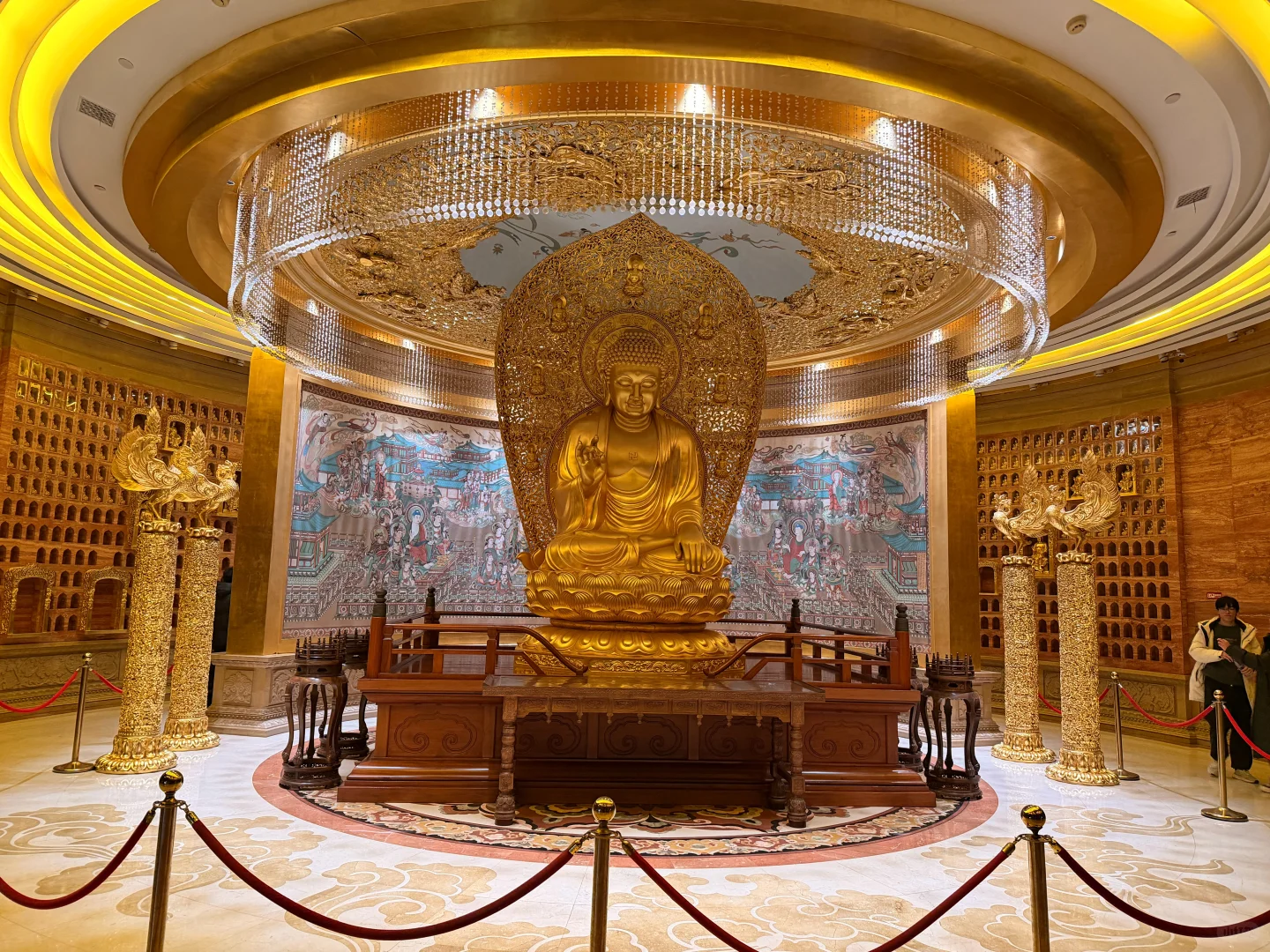 下次再见 神都洛阳 🫡