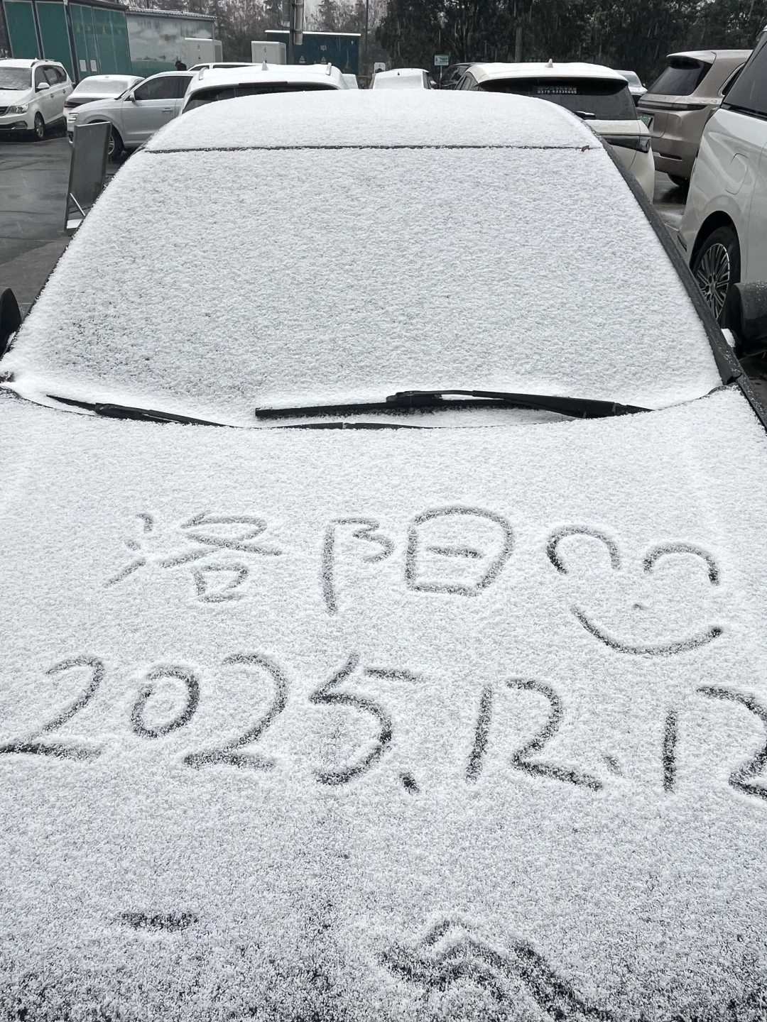 洛阳！！！2025年第一场雪！！！❄️