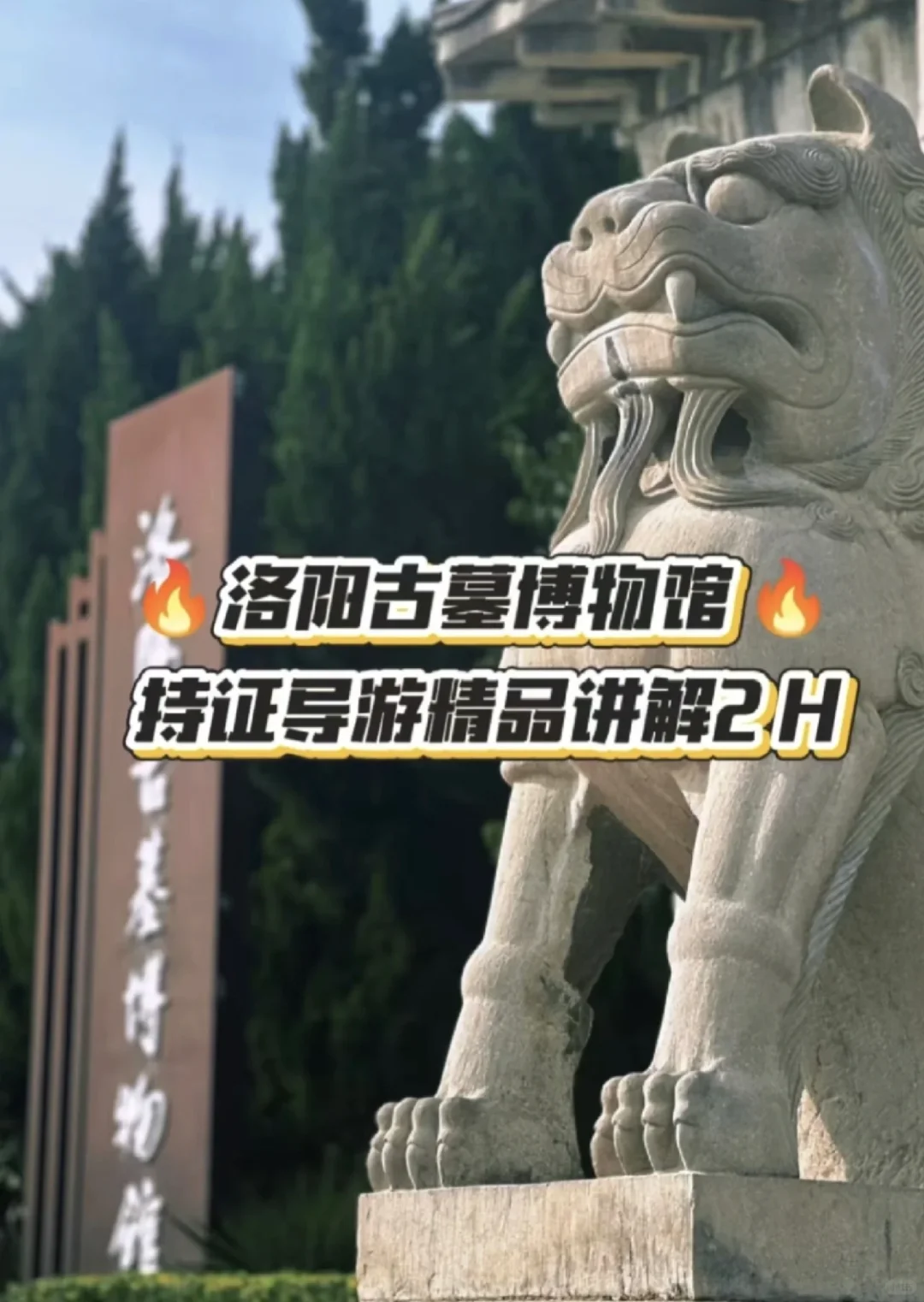 洛阳古墓博物馆拼团人工讲解