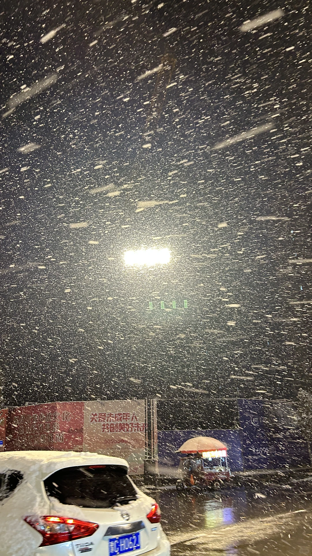 洛阳下大雪啦❄️