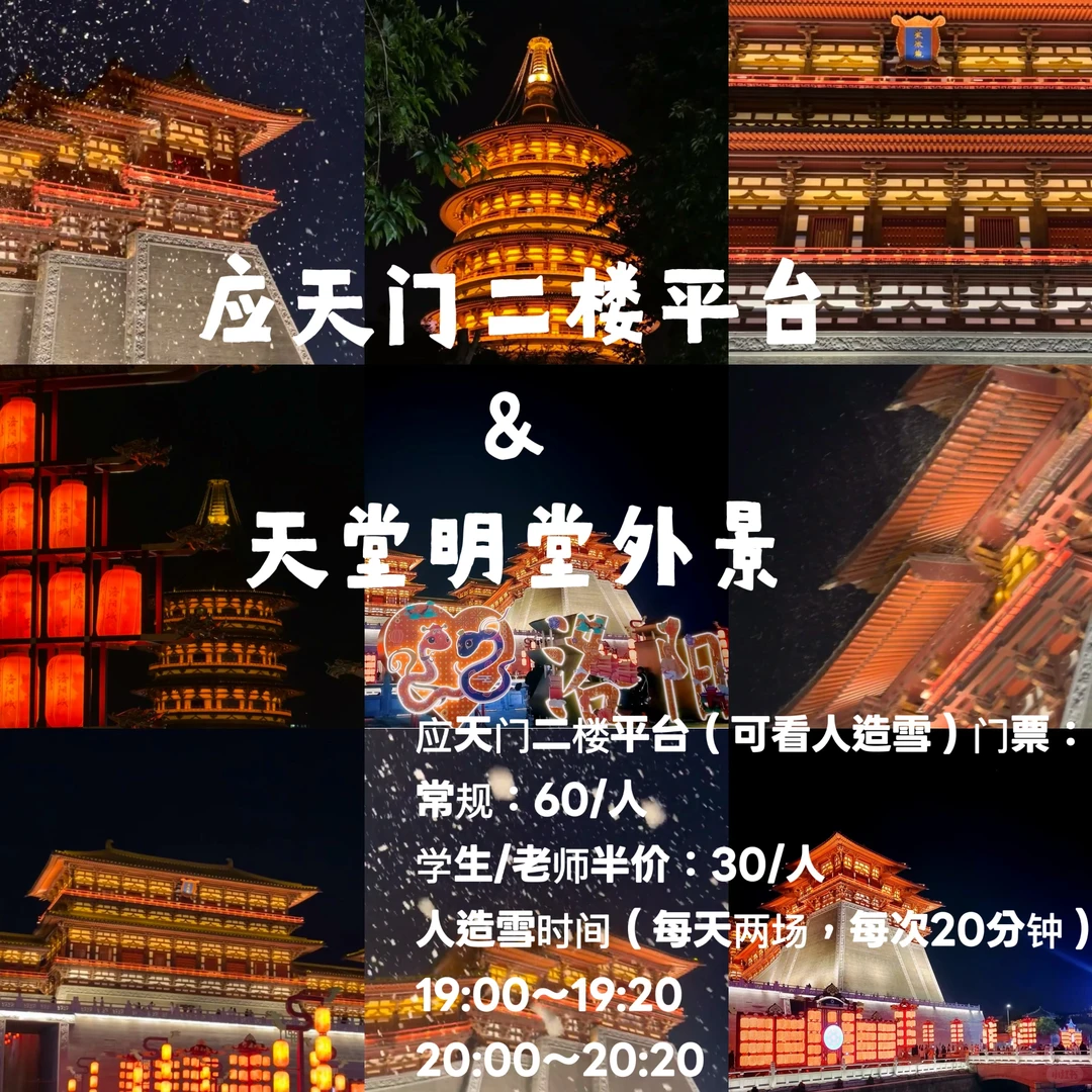 冬季洛阳3天2夜最全攻略之高性价比舒适版‼