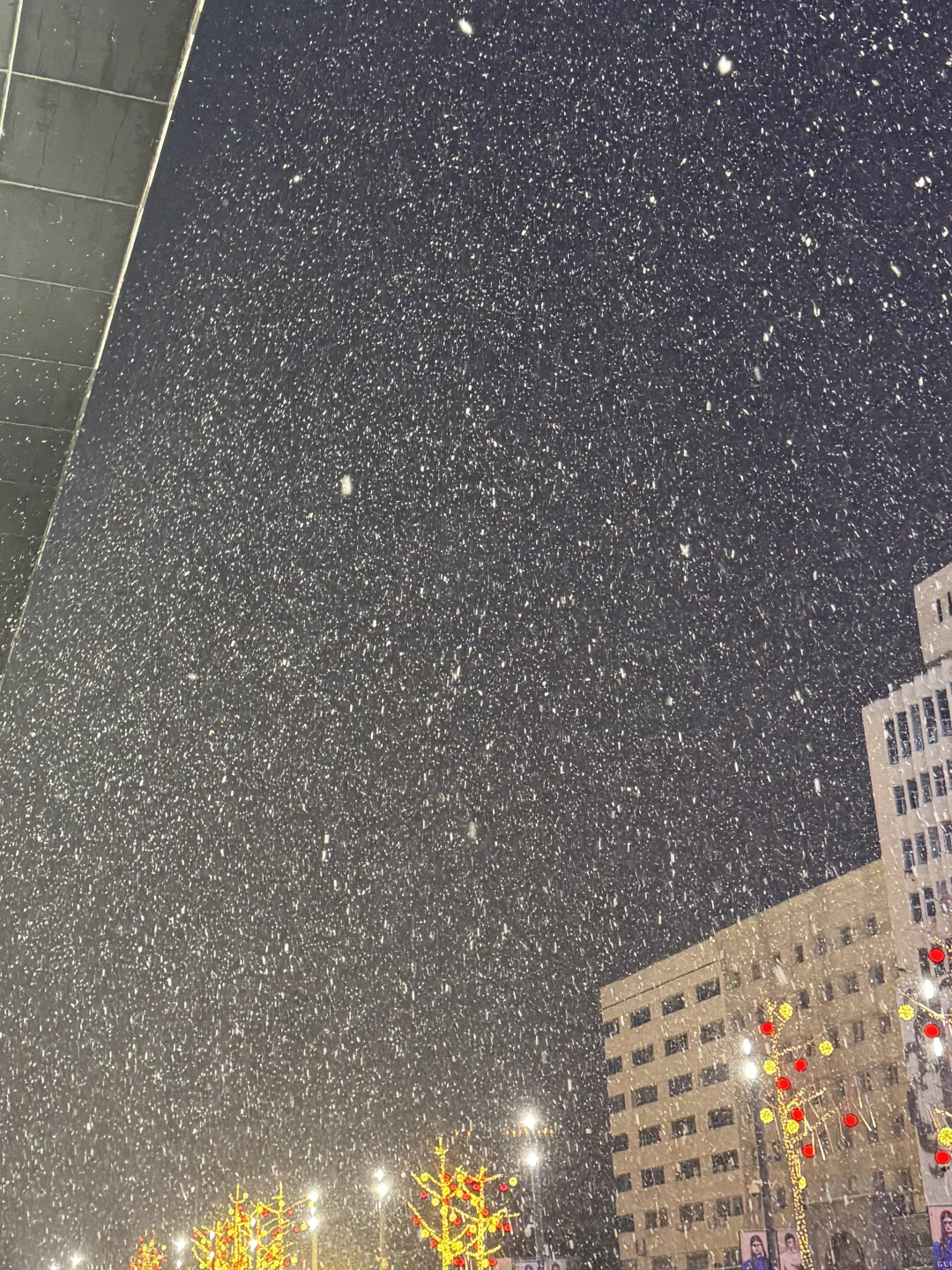 郑州的雪下的那么认真下的那么深