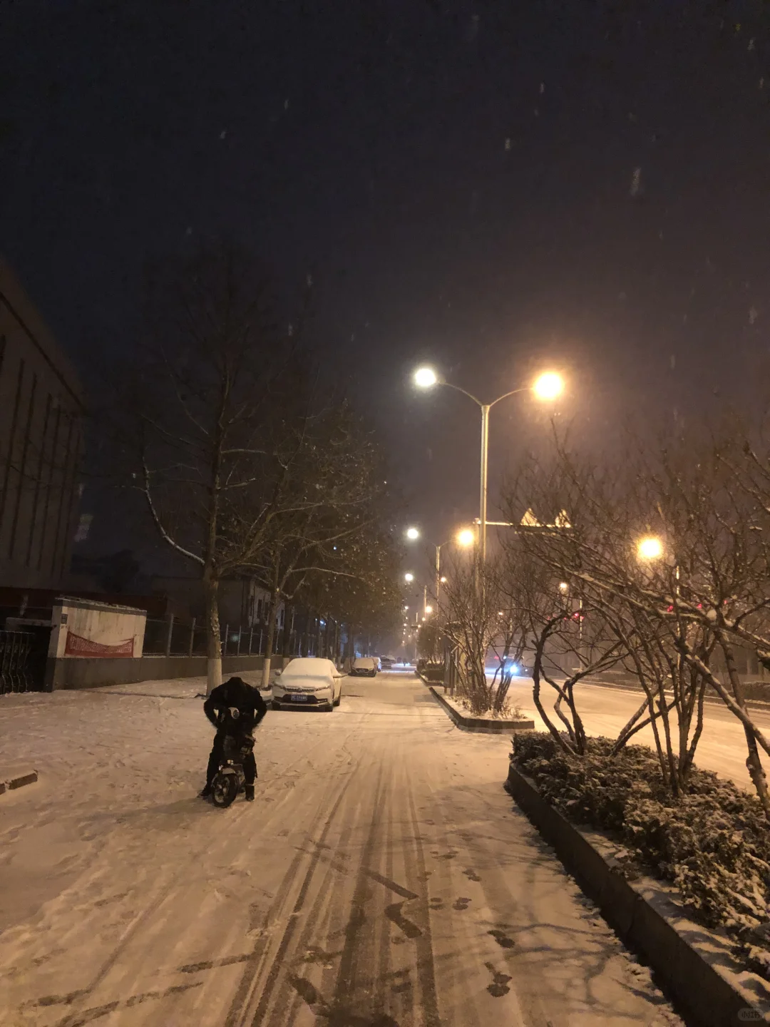 听说初雪这一天，所有的谎言都会被原谅。