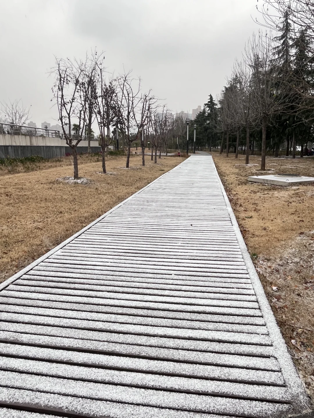 洛阳！！！2025年第一场雪！！！❄️