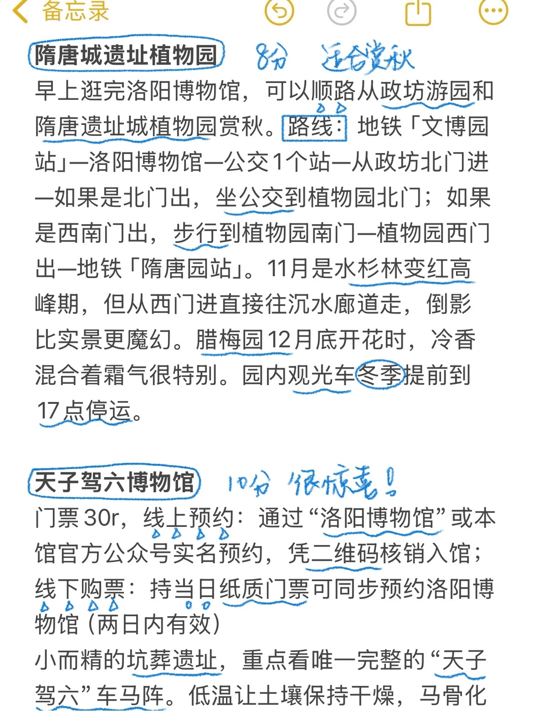 对自己做的洛阳攻略满意的不行