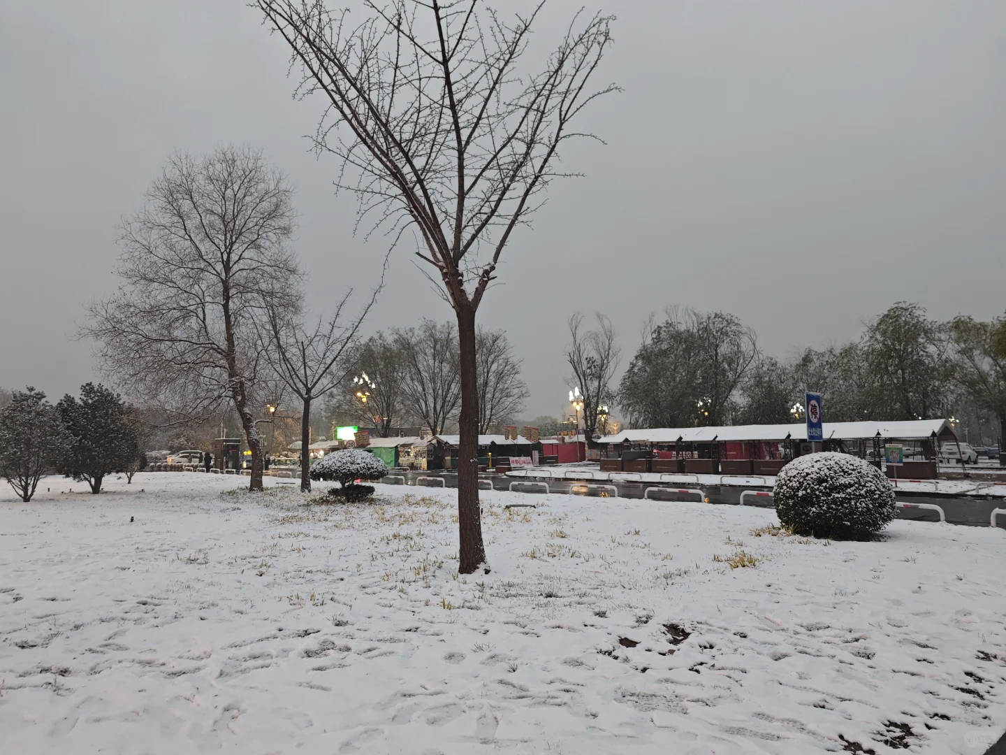 周末特种兵再次出发！洛阳我来了