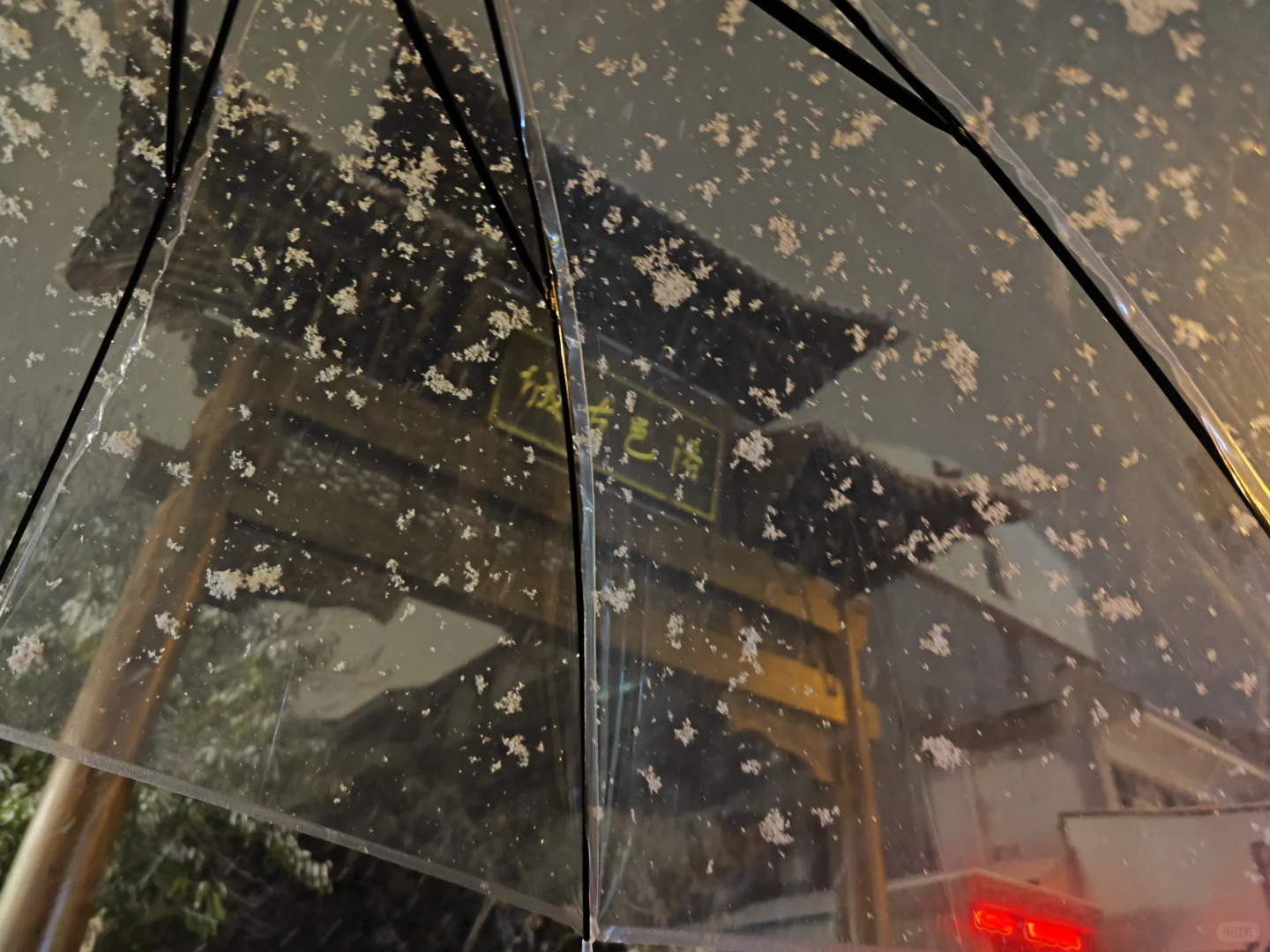 12.12日，洛阳雪