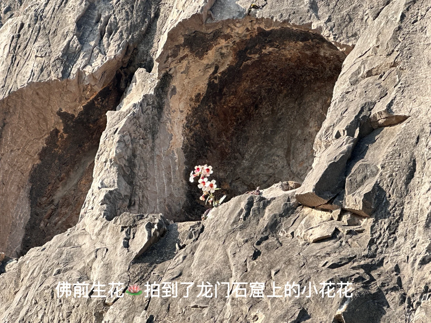 老君山不冷真的不冷