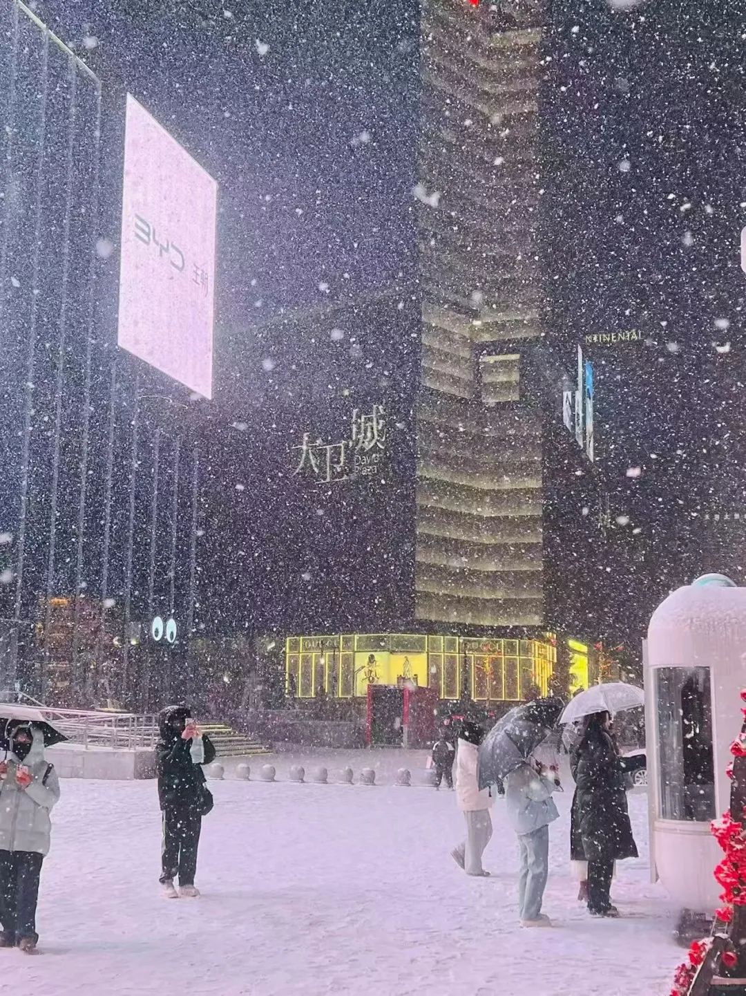 郑州的雪下的那么认真下的那么深