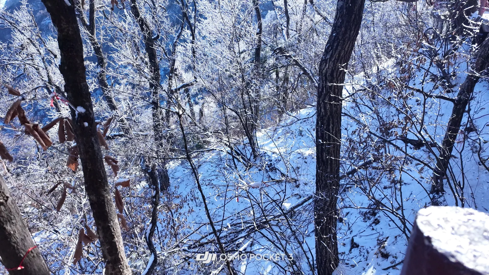 小小老君山拿捏了