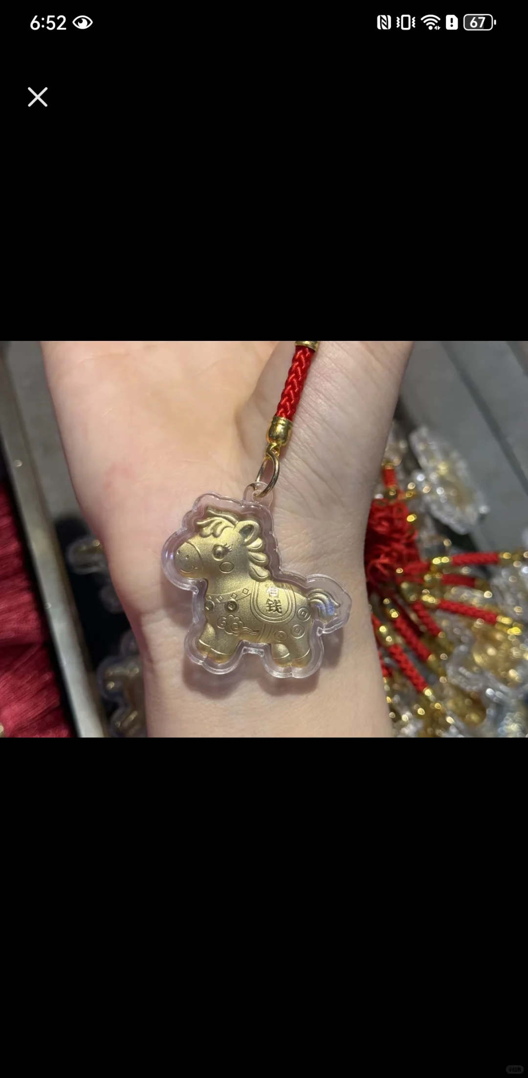 终于抢到小马马了！！！安阳姐妹看过了