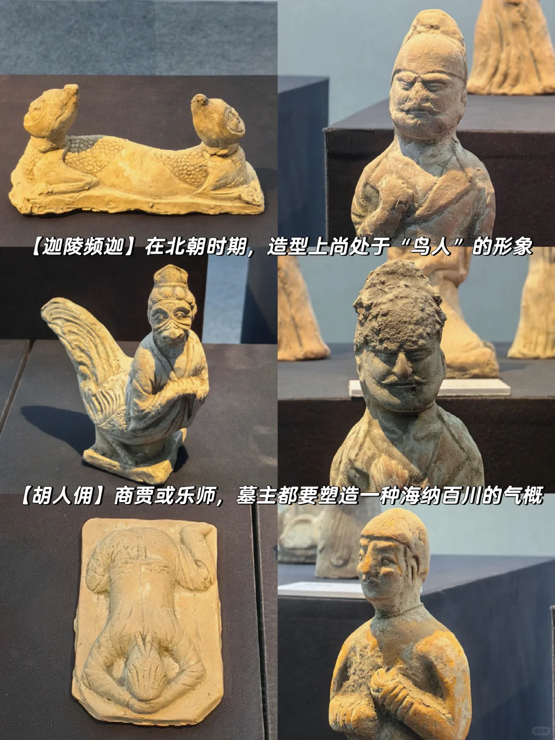 特展【麴庆墓】独属于安阳本地人的灯下黑