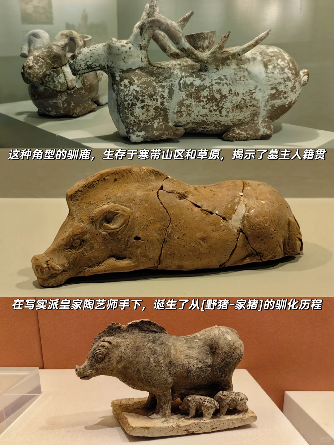 特展【麴庆墓】独属于安阳本地人的灯下黑