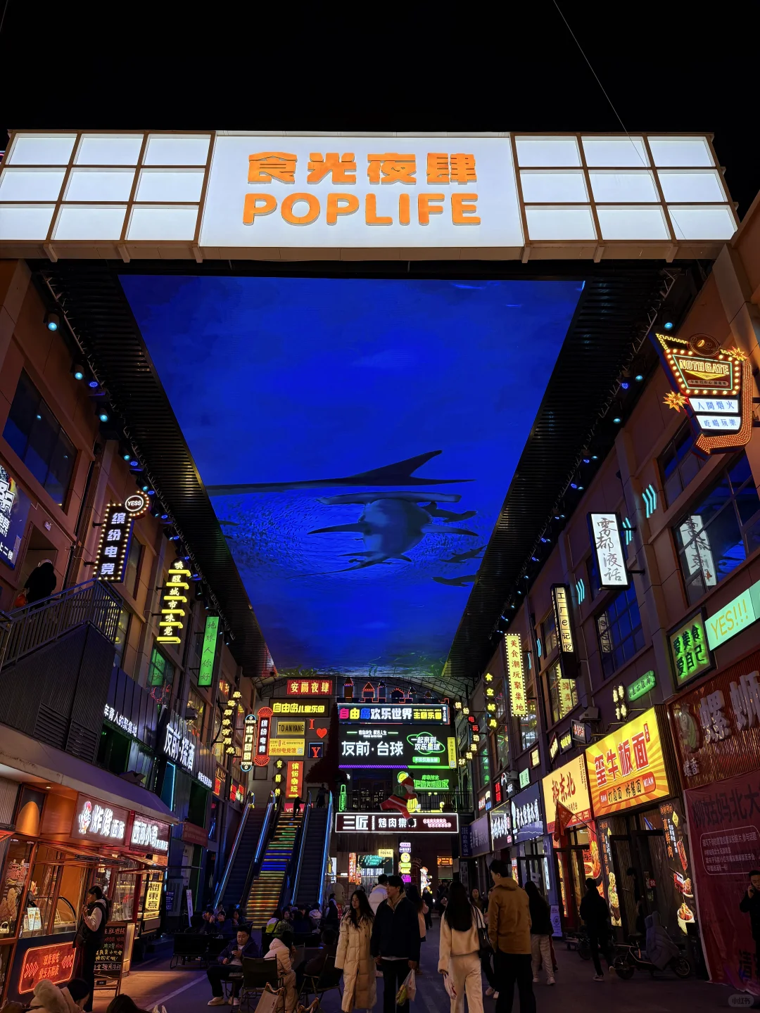 安阳北门里📍“小世贸天阶”在此