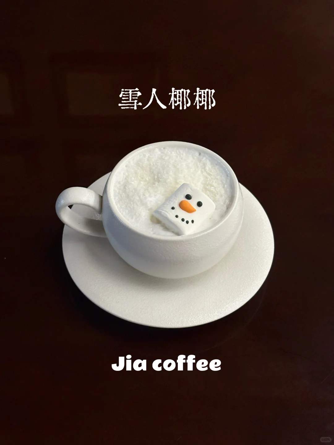 安阳｜圣诞雪人椰椰来了！！！